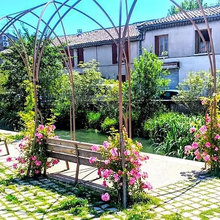 Voltaire Ou Beckett, Terrasse En Bord De Sorgue *
