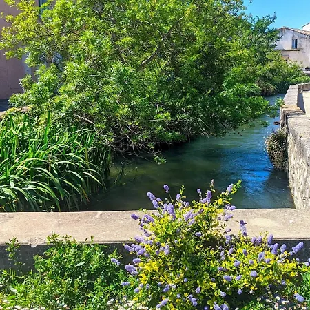 Bed & Breakfast Voltaire Ou Beckett, Terrasse En Bord De Sorgue