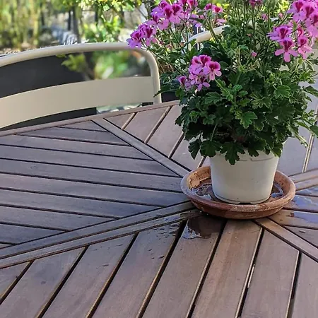 Voltaire Ou Beckett, Terrasse En Bord De Sorgue Bed & Breakfast